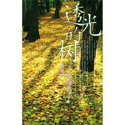 透光的树电影在线观看,光影交织的奇幻之旅  第3张